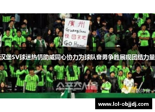 汉堡SV球迷热情助威同心协力为球队奋勇争胜展现团结力量