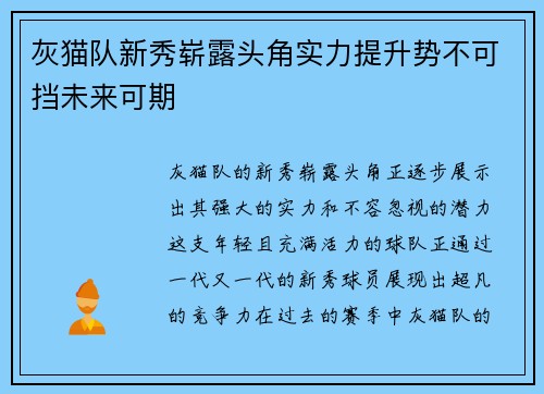 灰猫队新秀崭露头角实力提升势不可挡未来可期